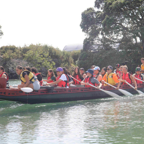 2026 T1 wk 06 marae noho