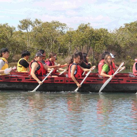 2026 T1 wk 06 marae noho