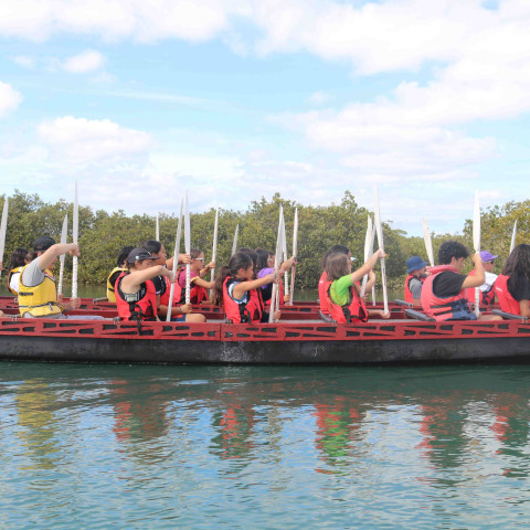 2026 T1 wk 06 marae noho