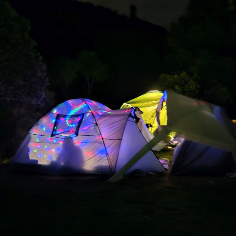 2026 T1 wk 07 year 13 camp