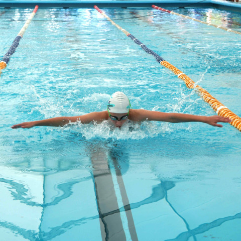 2026 swimming sports