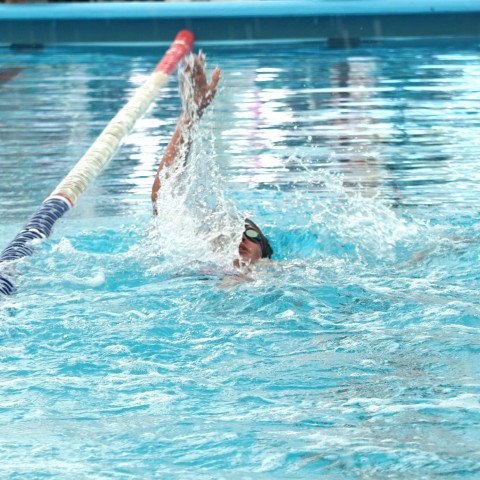 2026 swimming sports