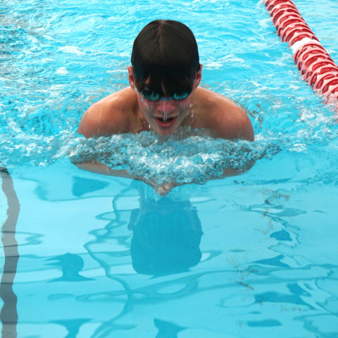 2026 swimming sports