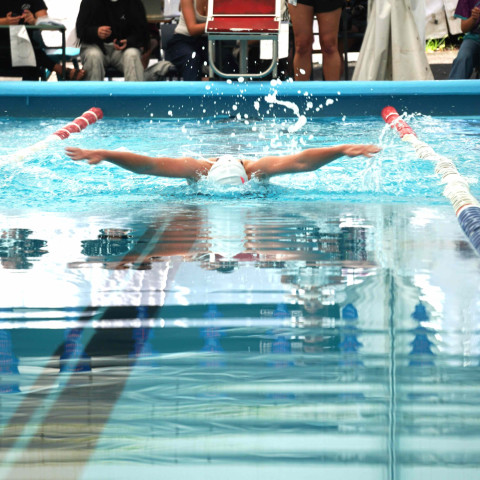 2026 swimming sports