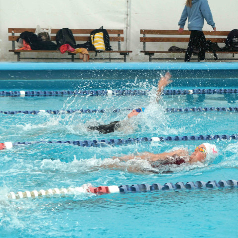 2026 swimming sports