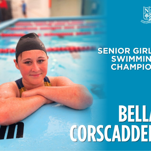 2026 swimming sports