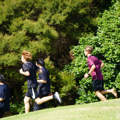 Northcote College 2026 cross country