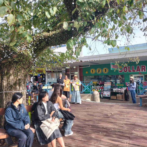 DVC at northcote town centre