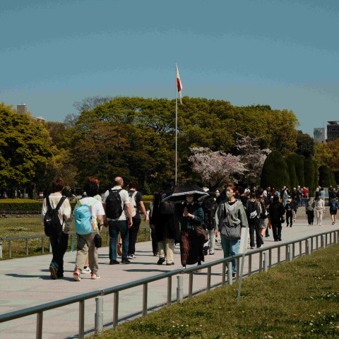 2026 japan trip northcote college