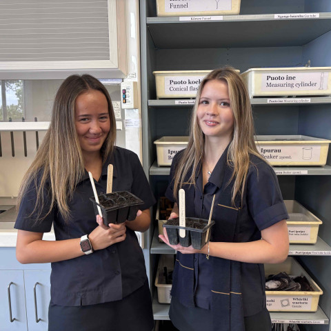 2026 Y12 science veg seedlings