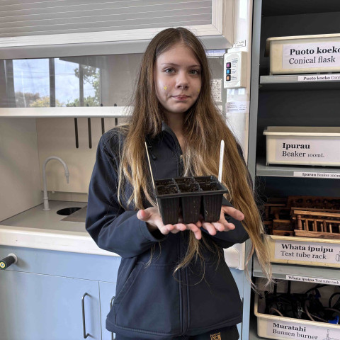 2026 Y12 science veg seedlings