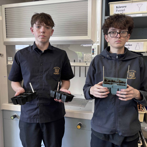 2026 Y12 science veg seedlings