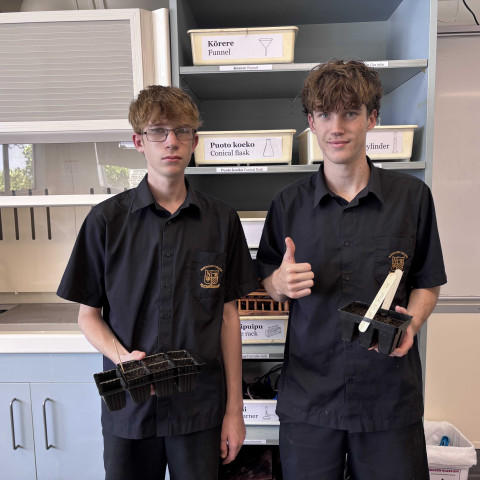 2026 Y12 science veg seedlings