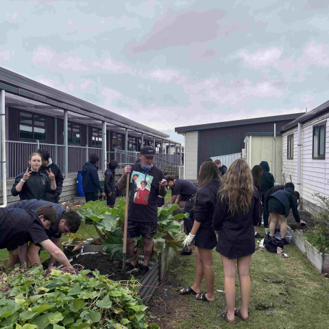 2026 Y12 science veg seedlings