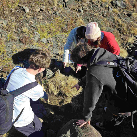 12GEO tongariro