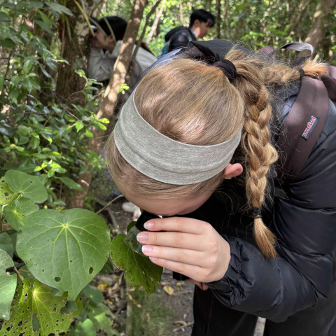 Y12 science trip to tiritiri matangi