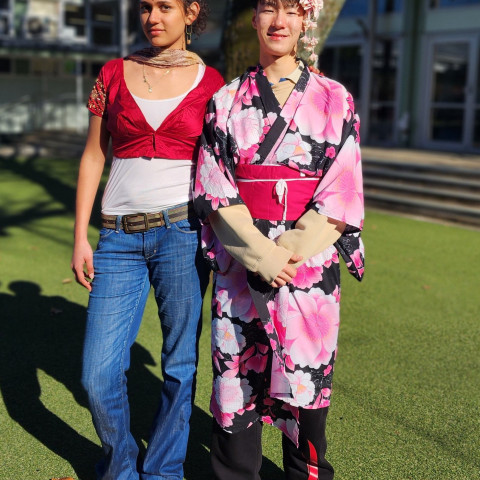 NC non-uniform heritage day