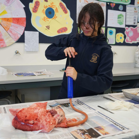 2026 open day success