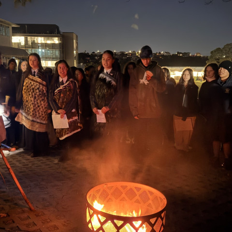 NC matariki 2026