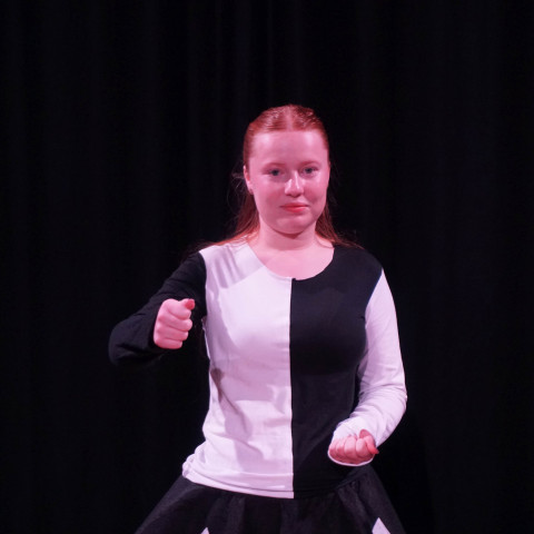 2026 twelfth night