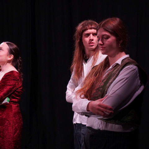 2026 twelfth night
