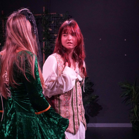 2026 twelfth night