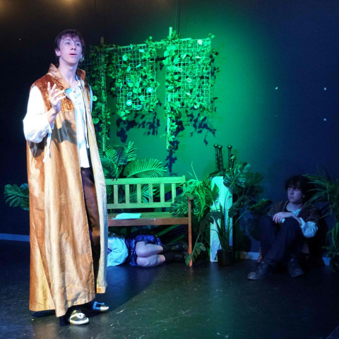 2026 twelfth night