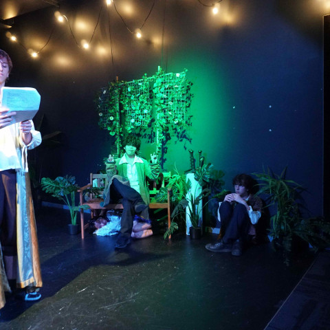 2026 twelfth night