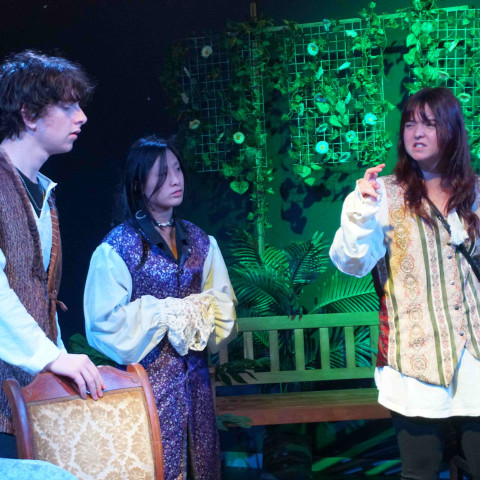 2026 twelfth night