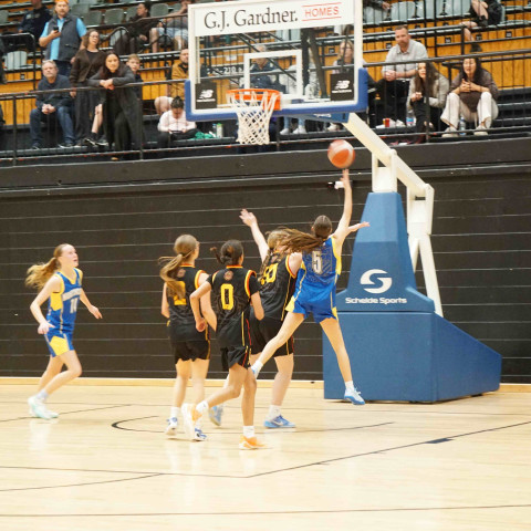 tournament 2026