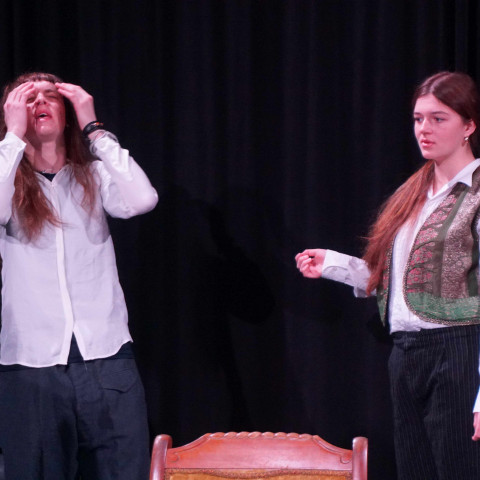 2026 twelfth night