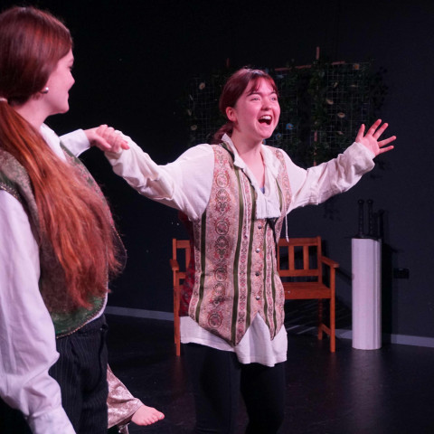 2026 twelfth night