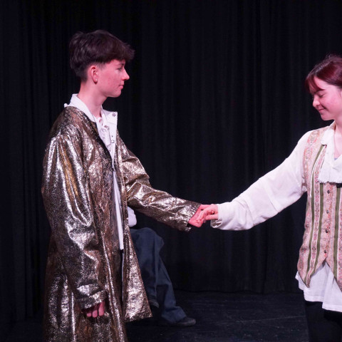 2026 twelfth night