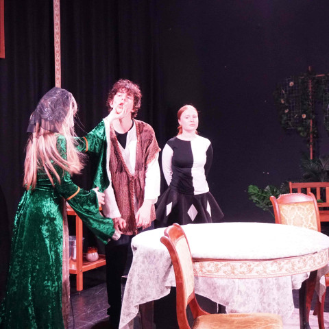 2026 twelfth night