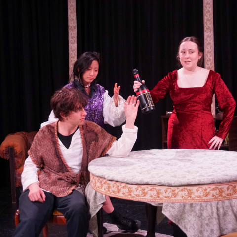 2026 twelfth night
