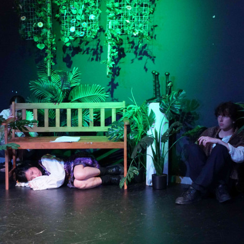 2026 twelfth night