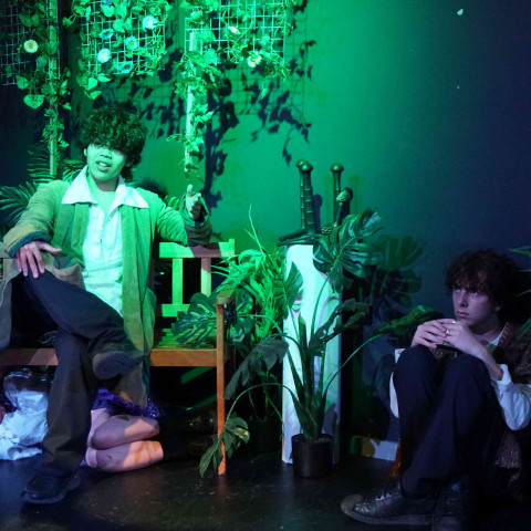 2026 twelfth night