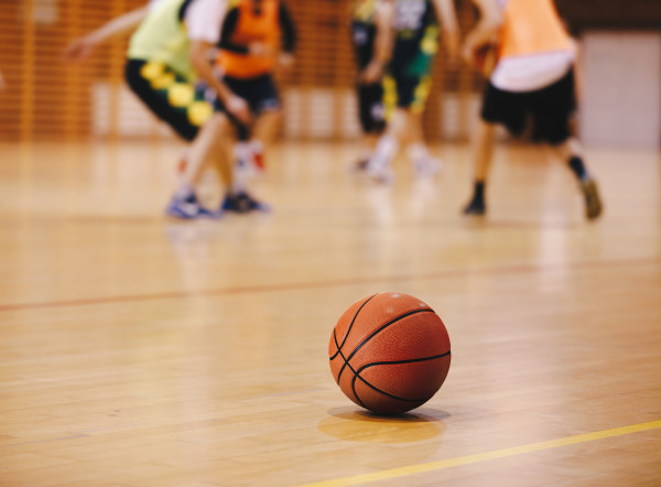 sports training update