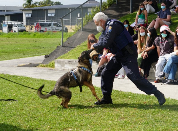 2022 T1 wk 04 police dog visit 