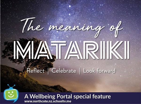 wellbeing portal matariki 