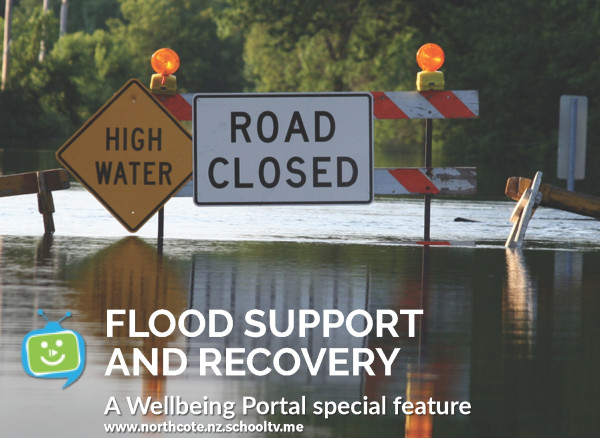 wellbeing portal - 2023 flood recovery