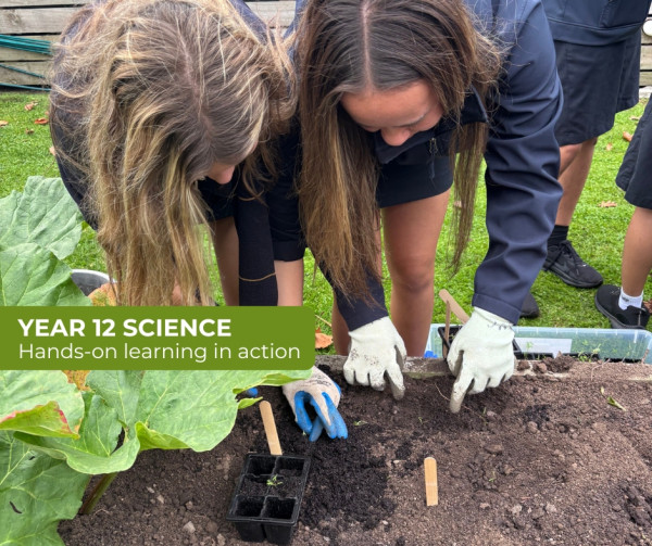 2026 T2 wk 06 Y12 science veggies 